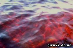 Азовское море стало красно-бурого цвета